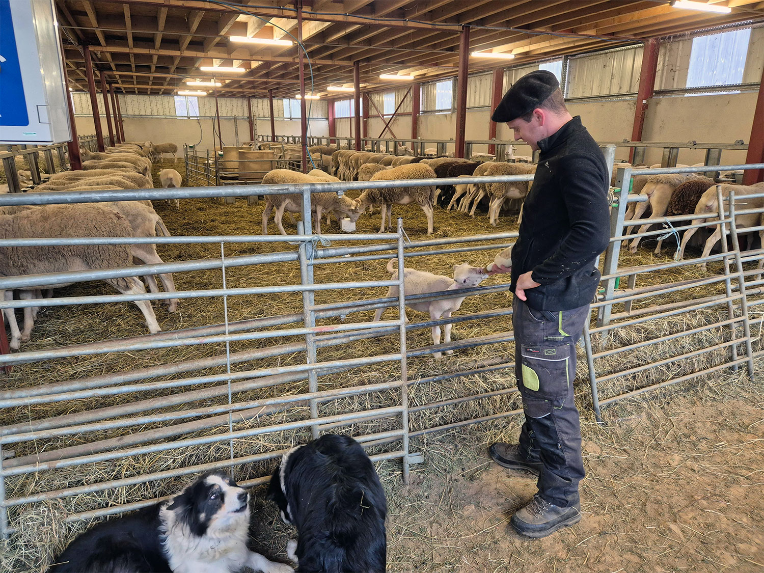 Municipales Beaudéan